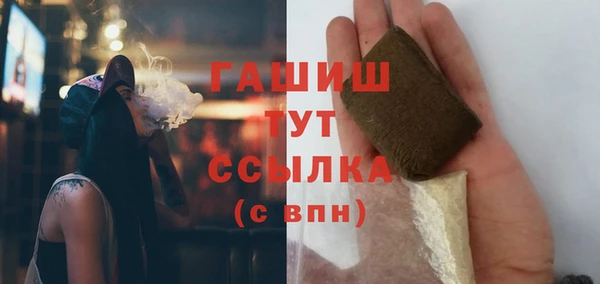 соль ск Белокуриха
